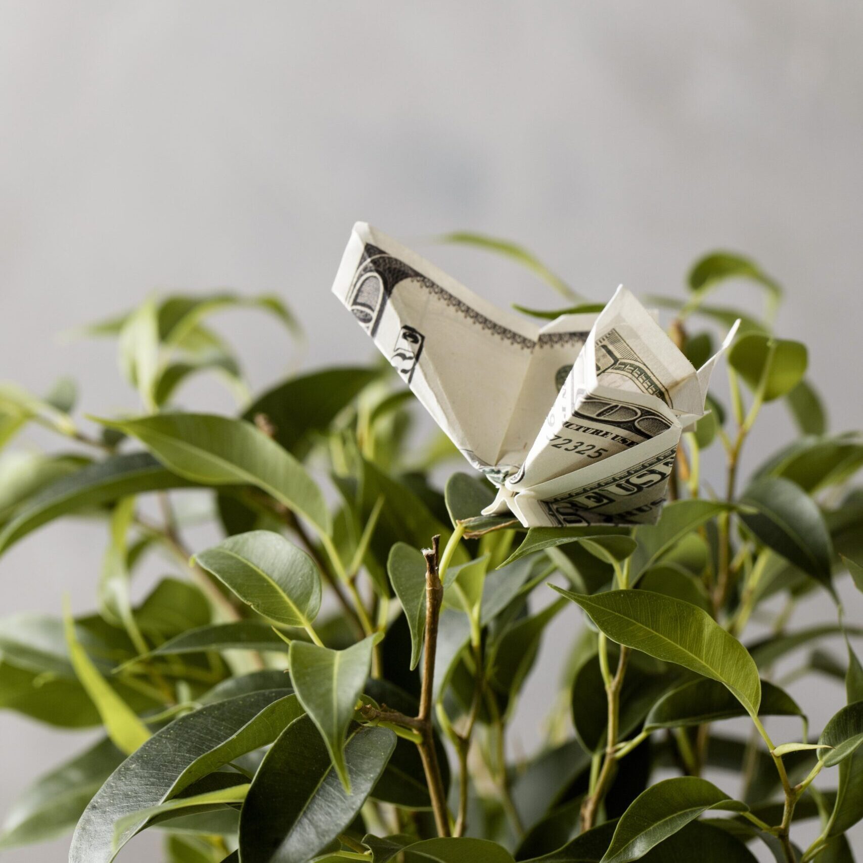 Accompagnement patrimonial sur-mesure à Tours